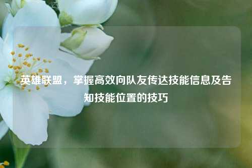 英雄联盟,掌握高效向队友传达技能信息及告知技能位置的技巧