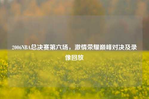 2006NBA总决赛第六场,激情荣耀巅峰对决及录像回放
