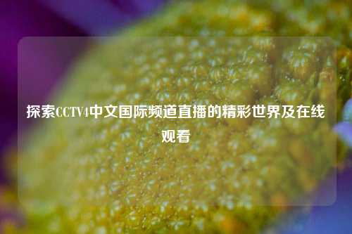 探索CCTV4中文国际频道直播的精彩世界及在线观看