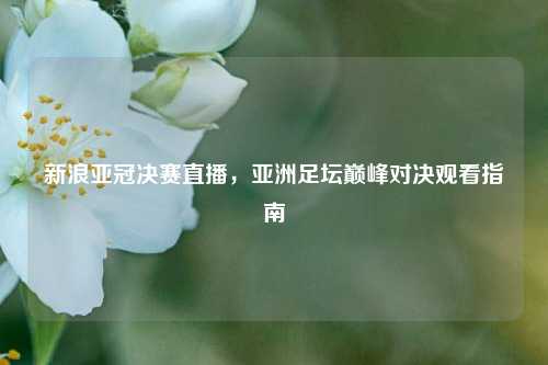 新浪亚冠决赛直播，亚洲足坛巅峰对决观看指南