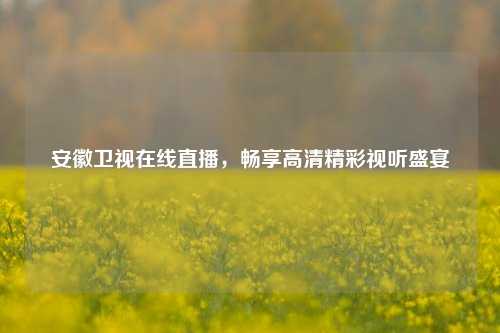 安徽卫视在线直播，畅享高清精彩视听盛宴