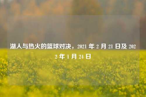 湖人与热火的篮球对决，2021 年 2 月 21 日及 2022 年 1 月 24 日