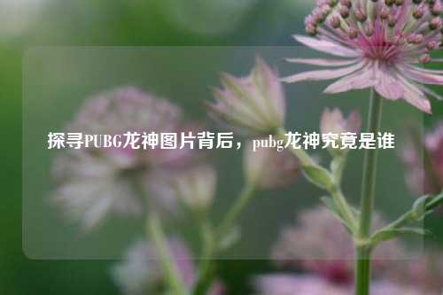 探寻PUBG龙神图片背后,pubg龙神究竟是谁