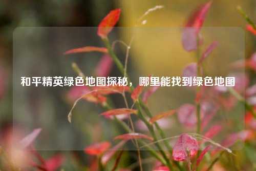 和平精英绿色地图探秘,哪里能找到绿色地图