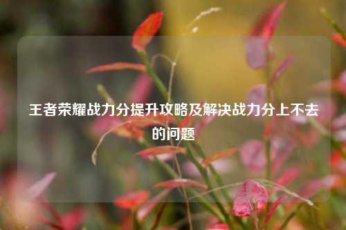 王者荣耀战力分提升攻略及解决战力分上不去的问题