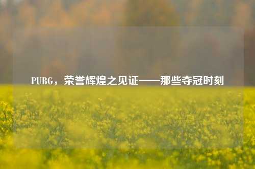 PUBG,荣誉辉煌之见证——那些夺冠时刻