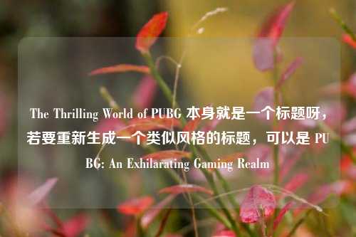 The Thrilling World of PUBG 本身就是一个标题呀，若要重新生成一个类似风格的标题，可以是 PUBG: An Exhilarating Gaming Realm