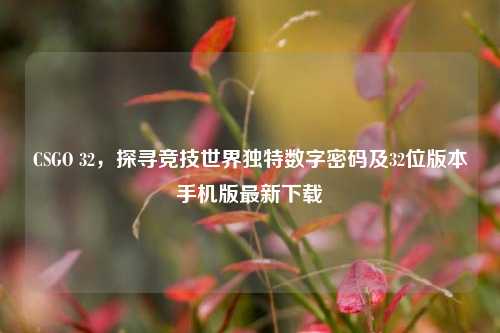 CSGO 32，探寻竞技世界独特数字密码及32位版本手机版最新下载
