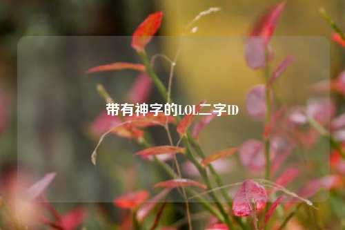 带有神字的LOL二字ID