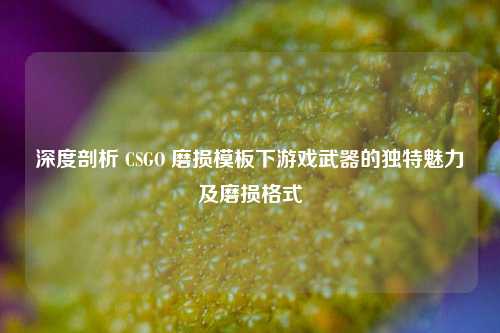 深度剖析 CSGO 磨损模板下游戏武器的独特魅力及磨损格式