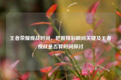 王者荣耀观战时间,把握精彩瞬间关键及王者观战是否算时间探讨