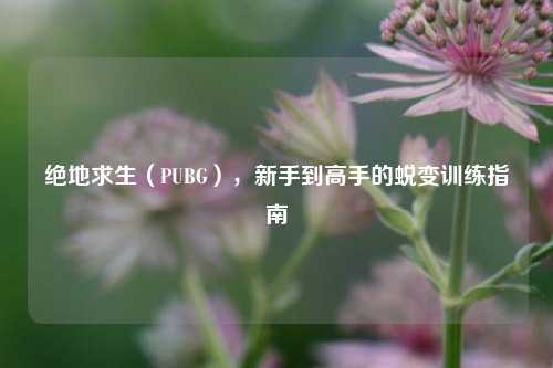 绝地求生（PUBG），新手到高手的蜕变训练指南