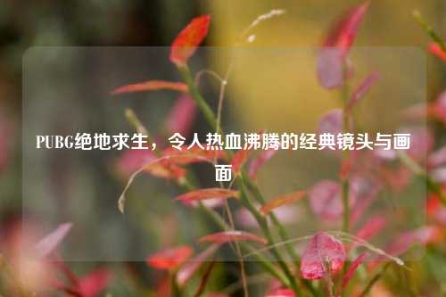PUBG绝地求生，令人热血沸腾的经典镜头与画面