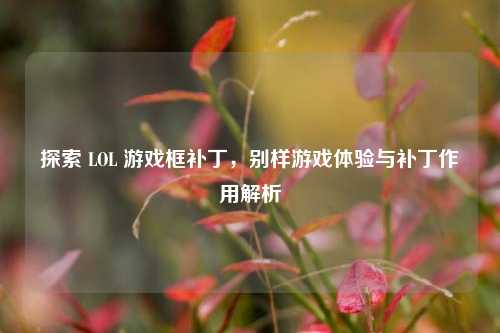 探索 LOL 游戏框补丁，别样游戏体验与补丁作用解析