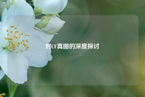对CF真图的深度探讨