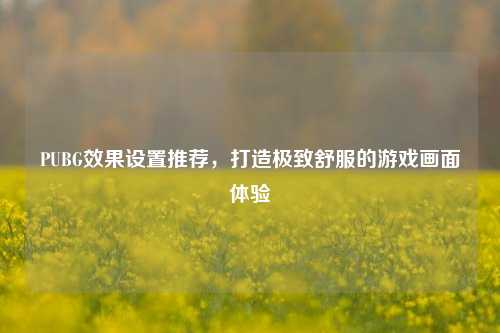 PUBG效果设置推荐,打造极致舒服的游戏画面体验