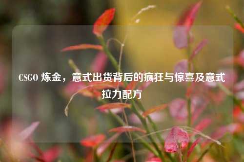 CSGO 炼金，意式出货背后的疯狂与惊喜及意式拉力配方