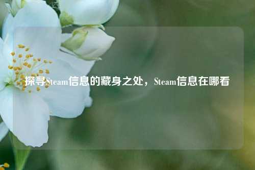 探寻Steam信息的藏身之处,Steam信息在哪看