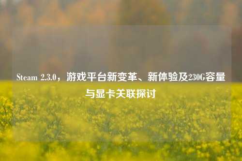Steam 2.3.0，游戏平台新变革、新体验及230G容量与显卡关联探讨