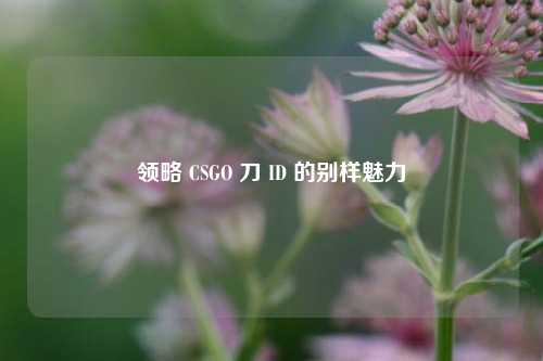 领略 CSGO 刀 ID 的别样魅力