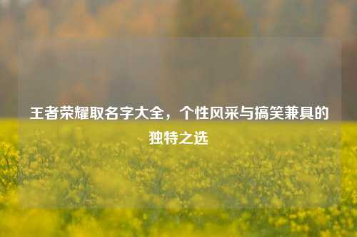 王者荣耀取名字大全，个性风采与搞笑兼具的独特之选
