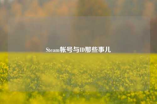Steam帐号与ID那些事儿