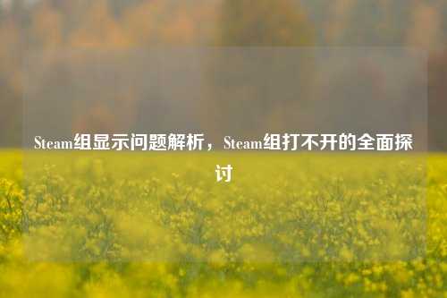 Steam组显示问题解析,Steam组打不开的全面探讨