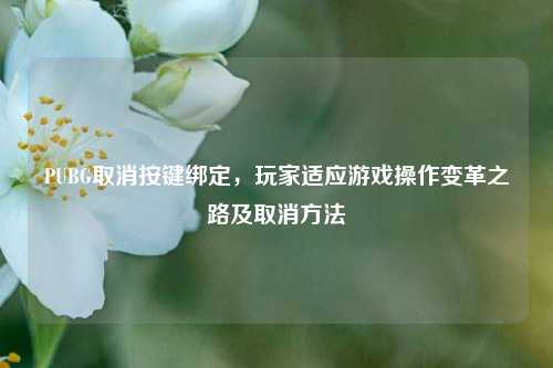 PUBG取消按键绑定,玩家适应游戏操作变革之路及取消方法
