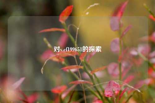 对v.cf199651的探索