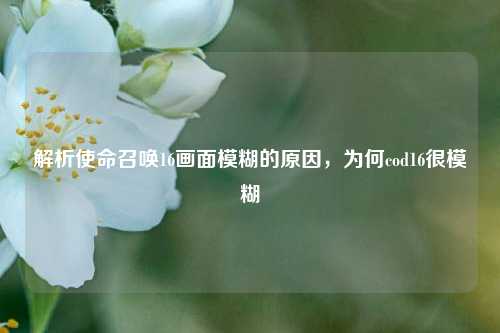 解析使命召唤16画面模糊的原因，为何cod16很模糊