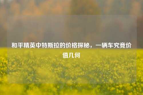 和平精英中特斯拉的价格探秘,一辆车究竟价值几何