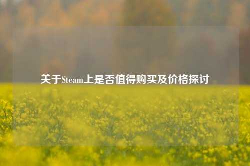 关于Steam上是否值得购买及价格探讨