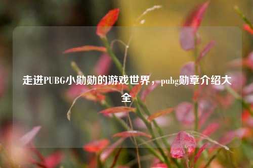 走进PUBG小勋勋的游戏世界,pubg勋章介绍大全