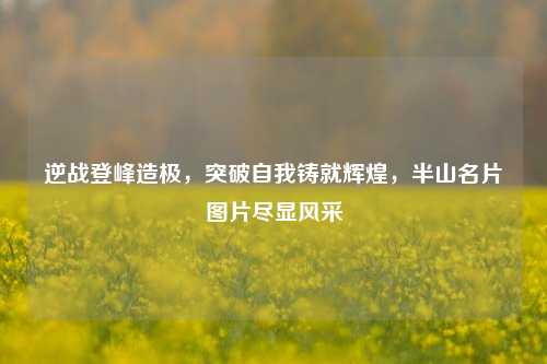 逆战登峰造极,突破自我铸就辉煌,半山名片图片尽显风采