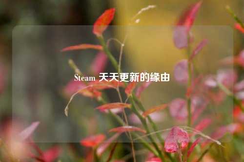 Steam 天天更新的缘由