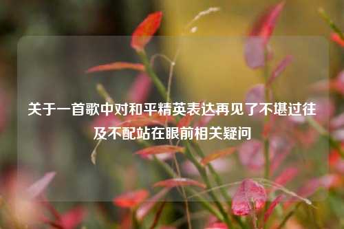 关于一首歌中对和平精英表达再见了不堪过往及不配站在眼前相关疑问