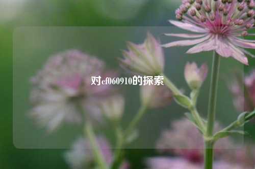 对cf060910的探索