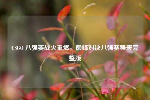 CSGO 八强赛战火重燃，巅峰对决八强赛程表完整版