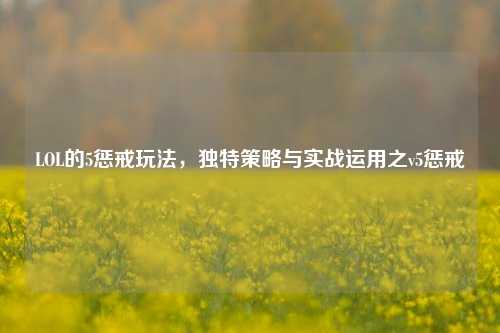 LOL的5惩戒玩法,独特策略与实战运用之v5惩戒