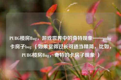 PUBG楼房Bug,游戏世界中的奇特现象——pubg卡房子bug (如果觉得过长可适当精简,比如,PUBG楼房Bug,奇特的卡房子现象 )
