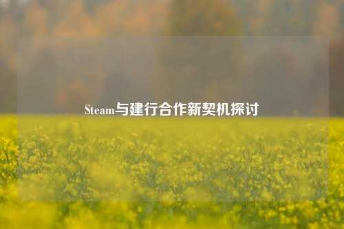 Steam与建行合作新契机探讨