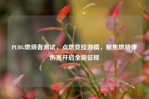 PUBG燃烧者测试，点燃竞技激情，聚焦燃烧弹伤害开启全新征程