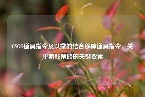 CSGO道具指令及以撒的结合移除道具指令,关乎游戏策略的关键要素