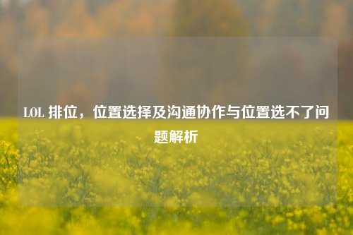 LOL 排位,位置选择及沟通协作与位置选不了问题解析