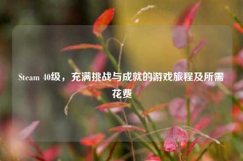 Steam 40级,充满挑战与成就的游戏旅程及所需花费