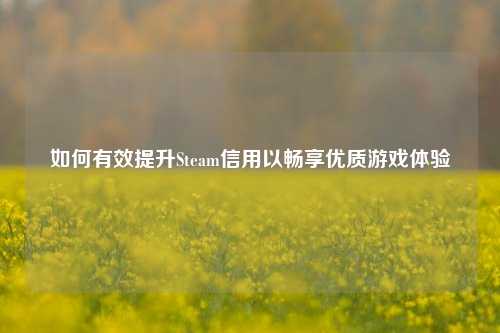 如何有效提升Steam信用以畅享优质游戏体验