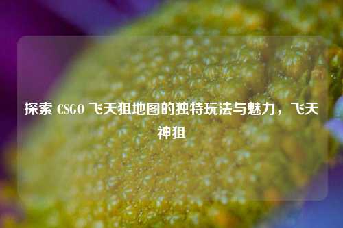 探索 CSGO 飞天狙地图的独特玩法与魅力，飞天神狙