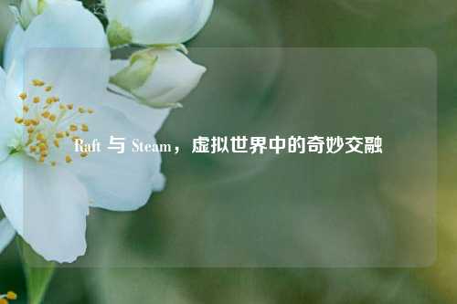 Raft 与 Steam，虚拟世界中的奇妙交融