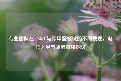 专业团队在 CSGO 与除甲醛领域的不同表现，电竞之星与除醛效果探讨
