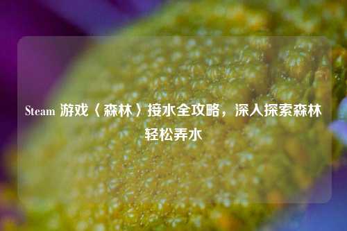 Steam 游戏〈森林〉接水全攻略，深入探索森林轻松弄水